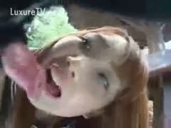 In her animal sex debut, a once-pleasing Asian adolescent nasty slut wife in uniform gives a horse an oral.